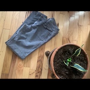 Loft gray corduroy pants.